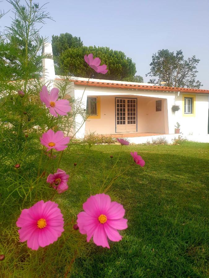 Sondela Self Catering Villa Sao Martinho do Porto Exterior photo