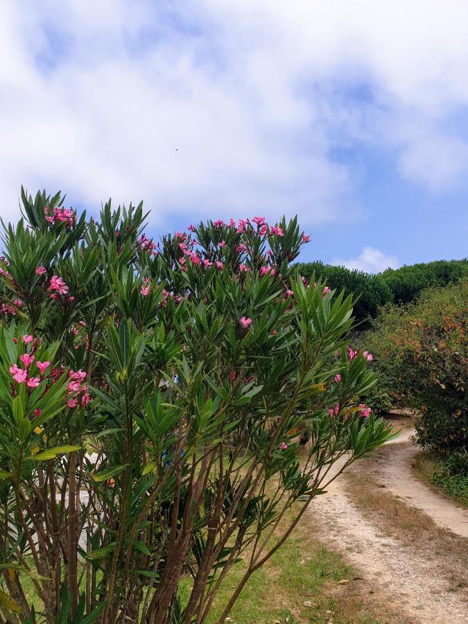 Sondela Self Catering Villa Sao Martinho do Porto Exterior photo