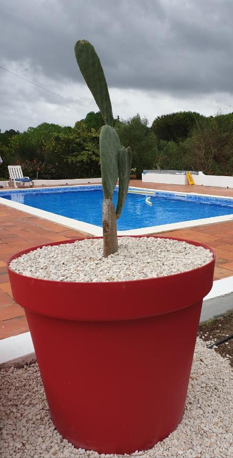 Sondela Self Catering Villa Sao Martinho do Porto Exterior photo